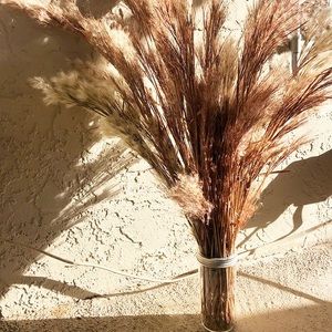 Dried Southwest Florida Native Grass